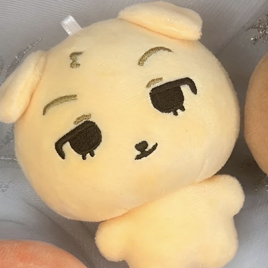 CORTIS MINI PLUSH
